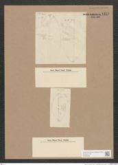 Navicula sp. (de-Toni-Nr.: Genus 1) Zeichnungen Sammlung Grunow Nr. 1359 (NHMW-BOT-W0368305)
